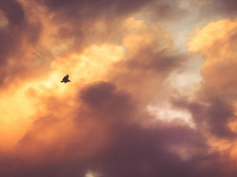 Антирейдерський захист