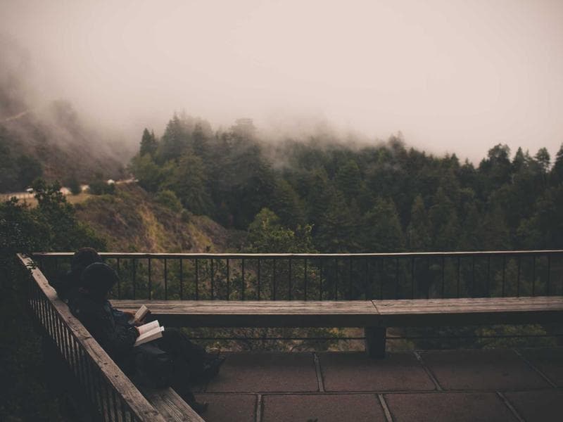 Оскарження рішення податкової